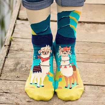 Arty Socks