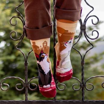 Дамски чорапи