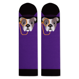 Chaussettes Arty Bouledogue Français