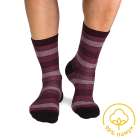 Chaussettes Coton pur Rayures Bordeaux