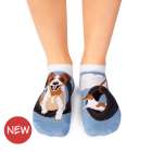 Κοντές κάλτσες Arty Socks με Τζακ Ράσελ