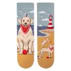 Arty Socks zokni Golden Retrieverrel