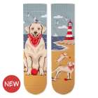 Arty Socks чорапи с Голдън Ретривър