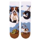 Arty Socks zokni Jack Russell kutyával