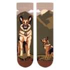 Arty Socks zokni német juhásszal