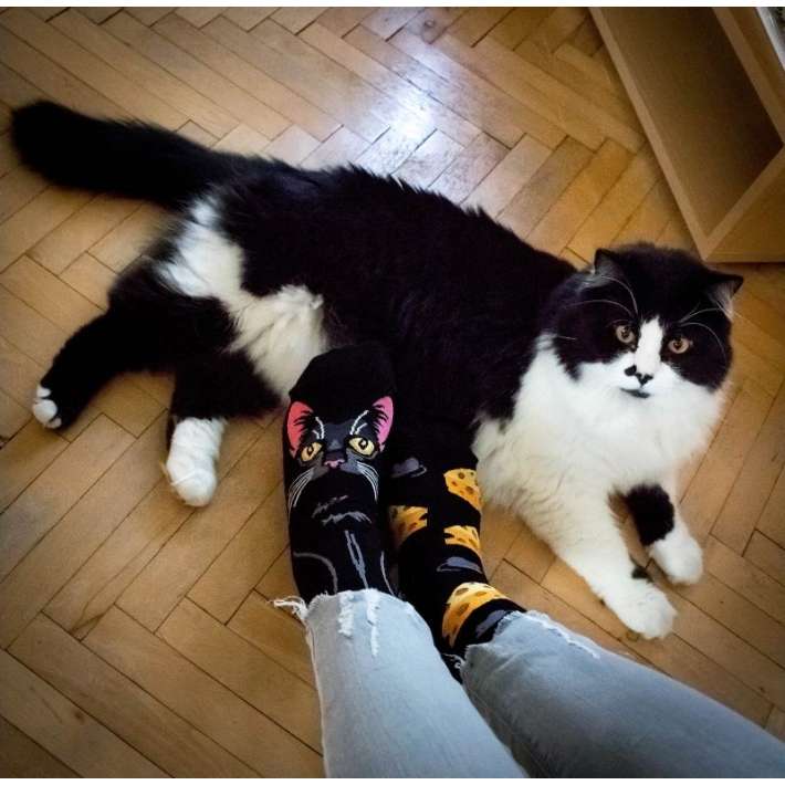 Chaussettes Noires Imprimées Pattes De Chat - Unisexe, 95% Polyester 5% élasthanne, Tailles 38-45