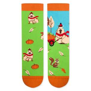 Chaussettes Arty Georges le Capybara Vert