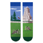 Arty Socks чорапи Шипка