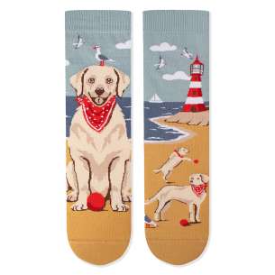 Arty Socks чорапи с Голдън Ретривър