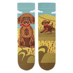 Arty Socks чорапи с Пудел
