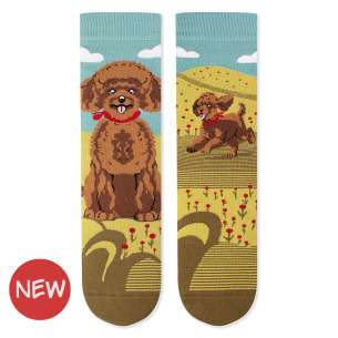 Arty Socks чорапи с Пудел