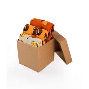 Coffret de 3 paires de Chaussettes Coton Automne Feuilles Écureuil Glands