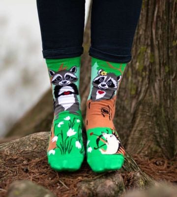 Chaussettes Arty ratons laveurs
